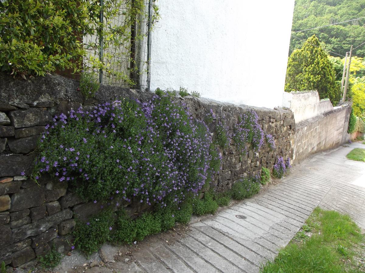 Rio Farneto B&B Longera Εξωτερικό φωτογραφία